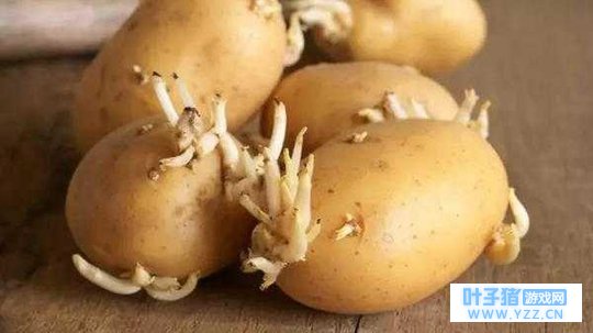 原创诗歌饥饿在黑暗中坠落/我捂住饥肠的疼