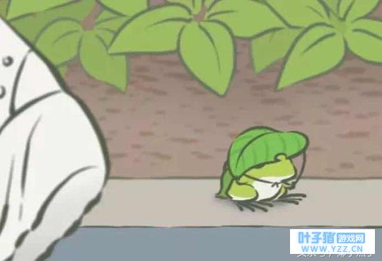 ����Ȧ�������ֻ���ܣ���ʵ���ǹ¶����Լ�