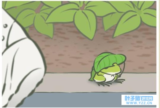 ���ܵ������ǣ��������ڳ��˷�ϵ�ճ���ĸ��