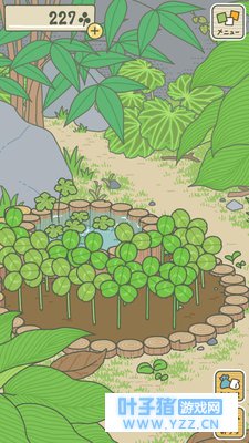 最近大火的青蛙旅行到底是个啥游戏?