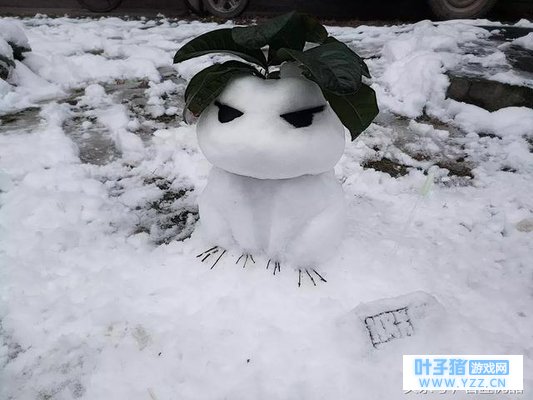 ԭ�������е����� ���ѩ���ˣ��ѹֲ��ؼ�