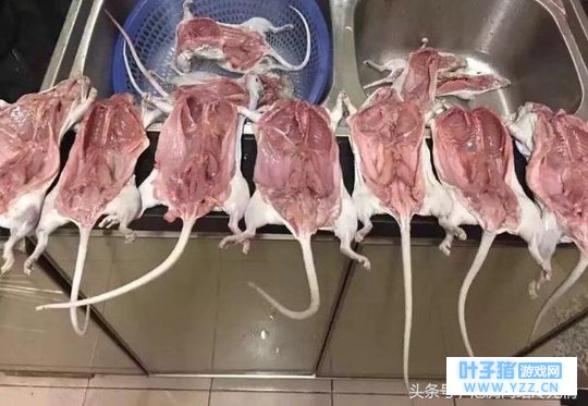 我刚吃得起肉,你开始吃海鲜了!我开始吃花