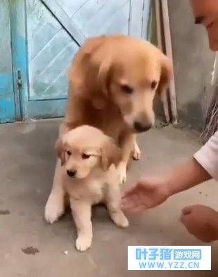 ����ռ������ǿС�����������������˲���а