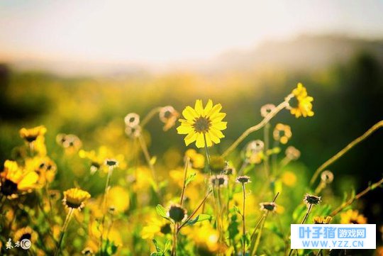 ���յ�һ��73����4Ԫ���걨10ת30�ѻ�����1