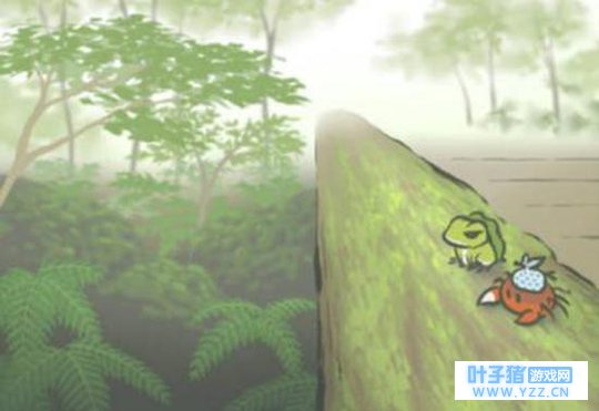 ���ֻ��������ܶ��� �����Ǹ�ʲô�ܣ�