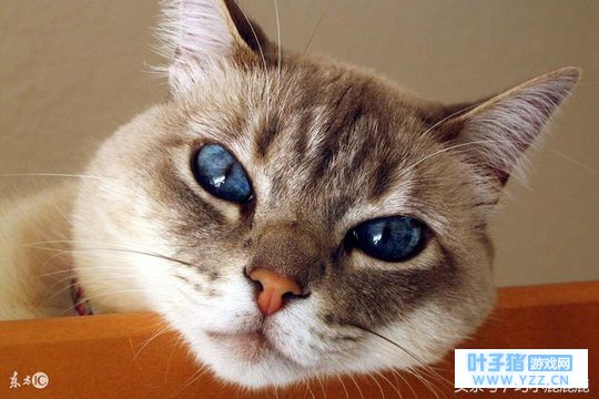 �����ٲ������ҵ�����Ϳ�Ҫ��ѩ�ˣ�28��