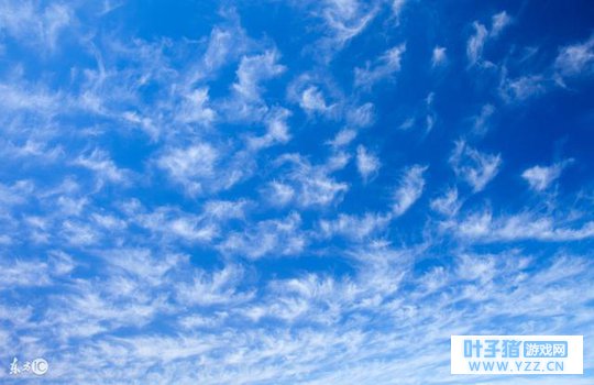 真正的“顺其自然”是啥?这是我听过最好的