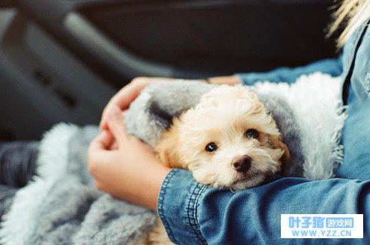 有多少分手,是因为没有及时回信息?^