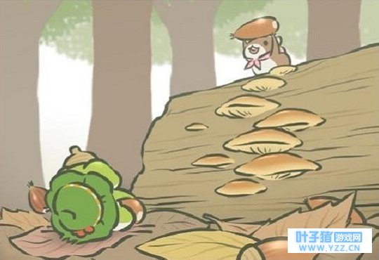 旅行青蛙最稀有的6张照片,网友羡慕:我的