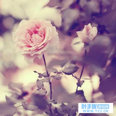 ��Щ������Ϣ�ľ��ӣ������ղ������Ժ���