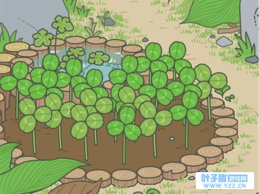 ���������ܡ�����һλĸ�׵��ź�