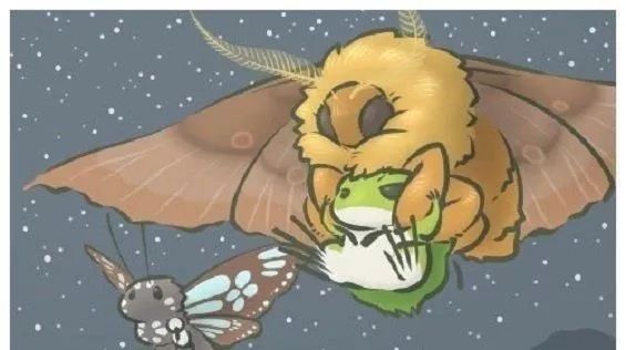 #��������#���¶�ͼ�������¯