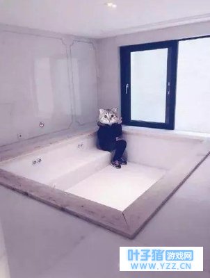 ΢�����йرյ����˺�1132����������������