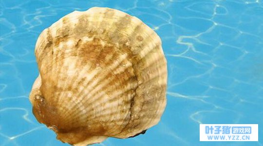 �ȱ����Σ�ҵ��ŤӯΪ����ҵ����ѻ��յ���