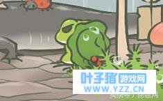 旅行青蛙:你家蛙崽吃饭花了几分钟