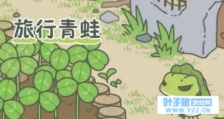 为啥别人家的蛙朋友那么多,而你的崽总是一