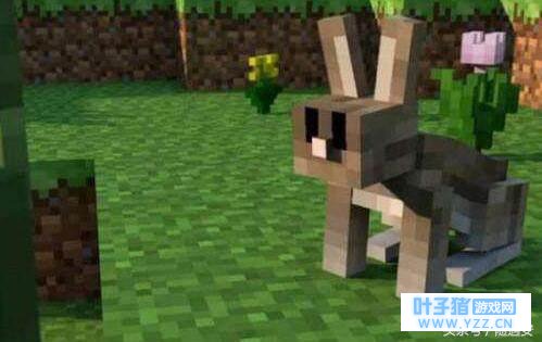 ���ҵ����硷����Ϸ�������5������