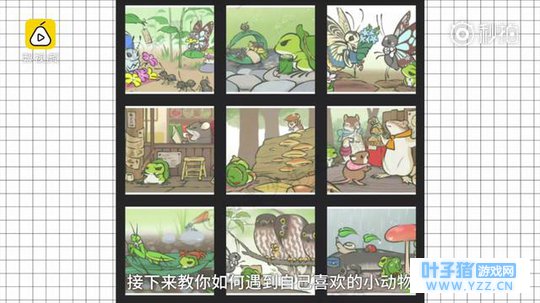 《旅行的青蛙》:如何让蛙崽在旅途遇上你自