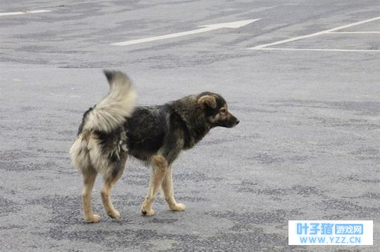 �ҵ�ͯ��С��飬С����������