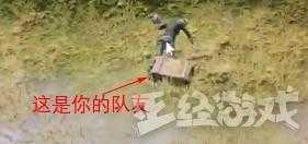 这些吃鸡术语你还不懂 你怎么能说自己吃过