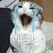 王者荣耀连跪二十多场,收到邮件彻底崩溃