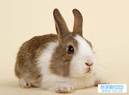 �����ע�⣬2�¿�ʼ��Ҫ�����족�ˣ���ϲ