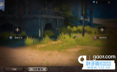 猎魂觉醒怎么繁育马匹 猎魂觉醒马匹繁育教