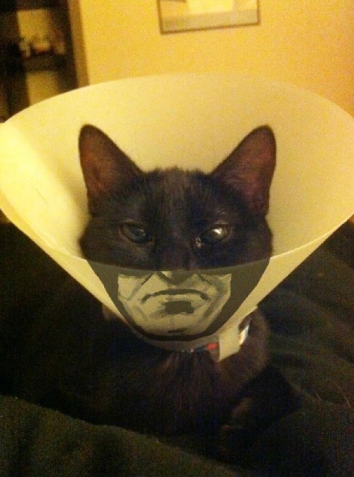 �����е�ĳЩ�ɺϱ�˲���¼ ʵ����̫������