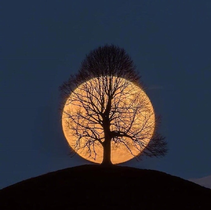 �����е�ĳЩ�ɺϱ�˲���¼ ʵ����̫������