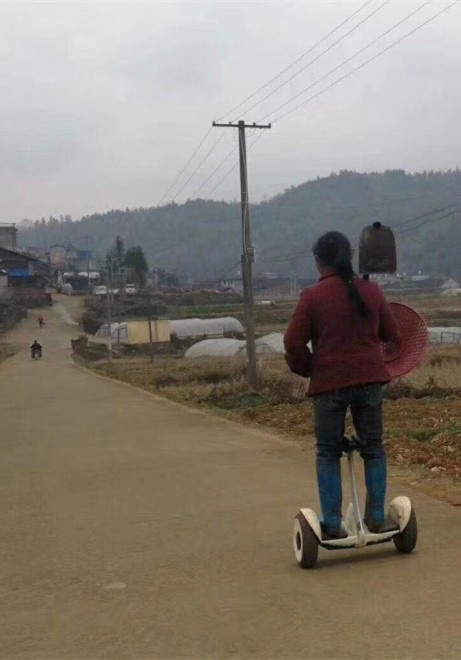 ��˵����