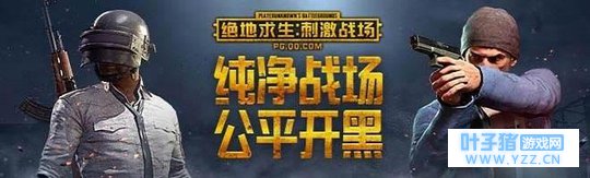 绝地求生刺激战场和全军出击有PC版吗?