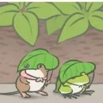 旅行故事 | 当你的蛙旅途中遇上了鼠鼠...