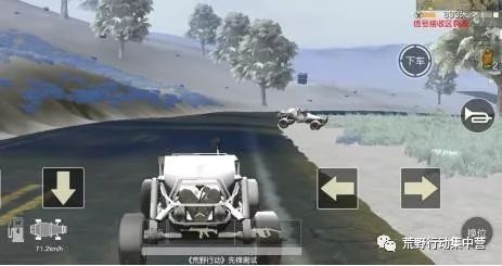 荒野行动:盘点游戏中的四种“猪队友”,你