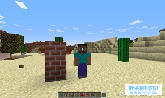 关于《我的世界》主角史蒂夫 这些冷知识你