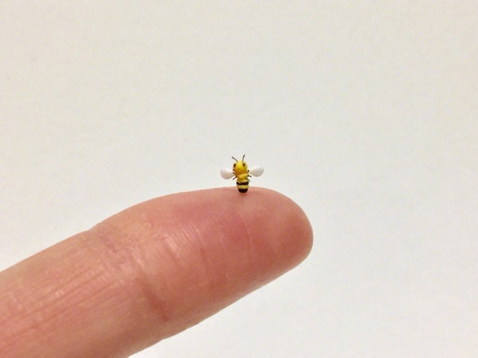 ��˵����