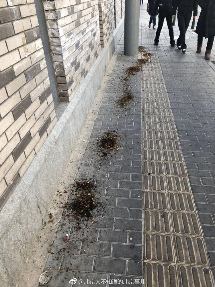 ��˵����