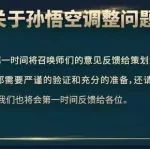 关于皮肤优化、庞统上线、削猴子、返场问题