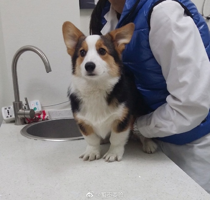 ��˵����