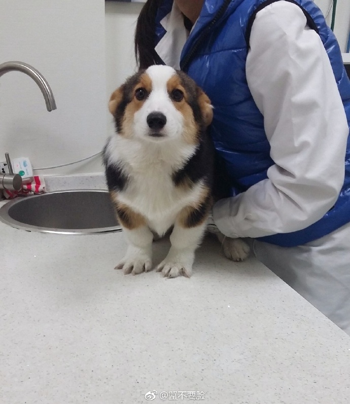 ��˵����