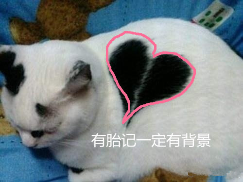 Ӱ�Ӿ羭����·��ͼ �ܽ�ò�Ҫ̫����