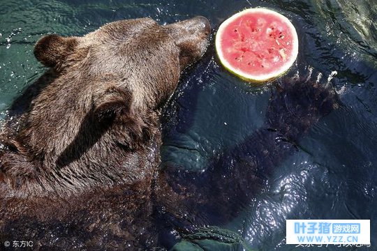 如果可以的话在绝地求生中加入这些东西肯定