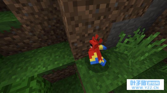 MC�����������о���û�е�һ������ �㶼��