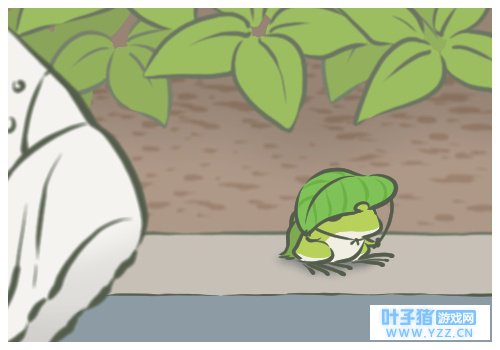 青蛙在旅行?你知道你的青蛙其实是个戏精吗