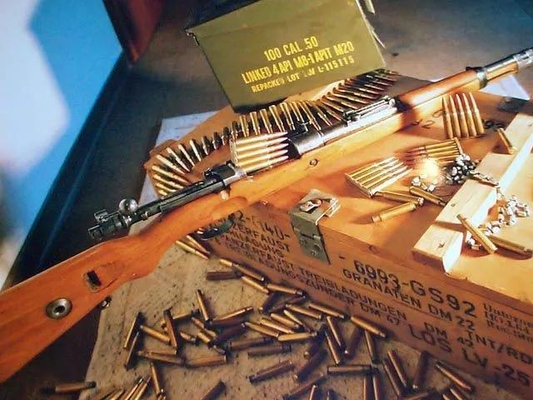 ��ȫ��������98k���ܻ�ӭ��һ�Ѿѻ�ǹ����