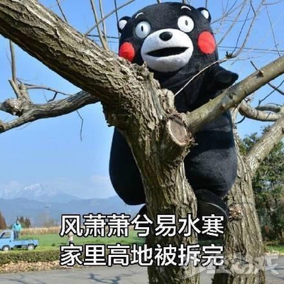 王者荣耀:毁灭整个屏幕的英雄即将上线 八