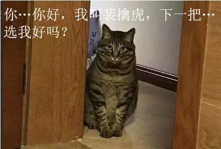 王者荣耀胜率倒数一和倒数第二竟然来自同一