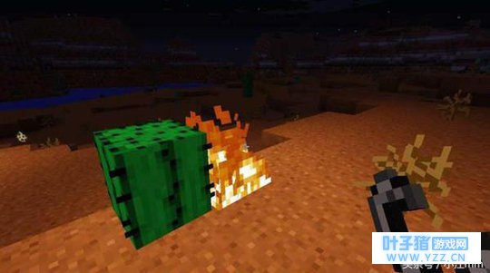 盘点《我的世界》中那些让人匪夷所思的事