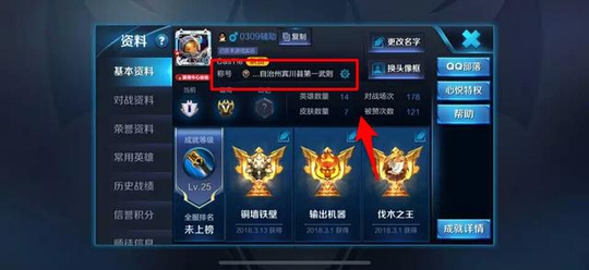 王者荣耀:玩家仅仅V1,却拥有武则天、星空