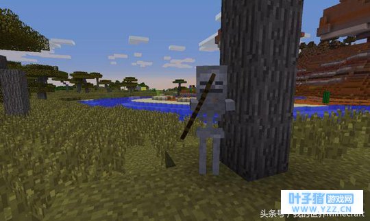 《我的世界》中所有生物身高排行榜 Steve落