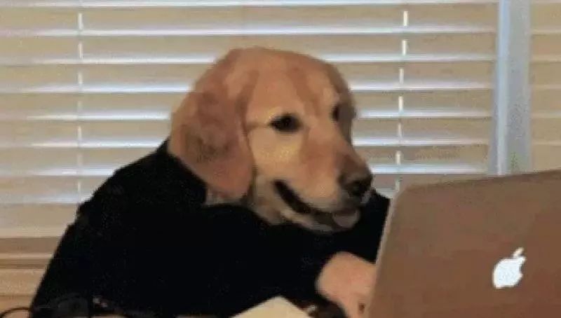 �Ⱦ�Ӫ����